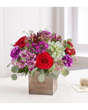 Radiant Jewel by 1800flowers Flower Arrangement