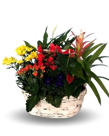 Premium English Garden Flower Arrangement