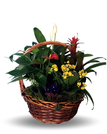 Large English Garden Flower Arrangement