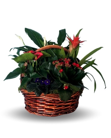 Medium English Garden Flower Arrangement