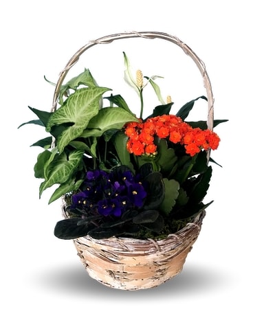 Small English Garden Flower Arrangement