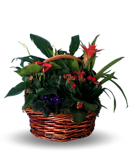 Medium English Garden Flower Arrangement