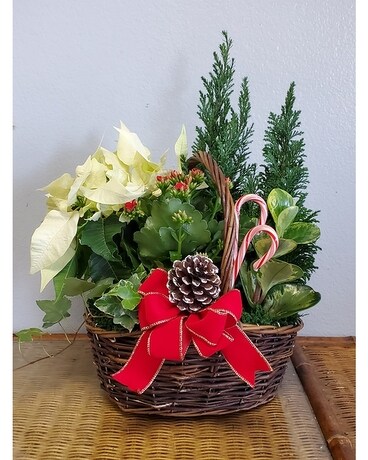 Christmas Tree Garden Basket Flower Arrangement