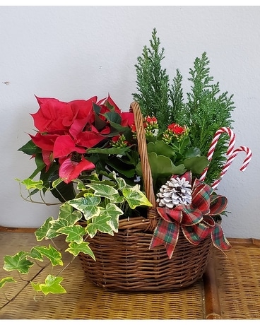 Christmas Tree Garden Basket Flower Arrangement