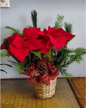 Secret Garden Holiday Red or White Poinsettia Flower Arrangement