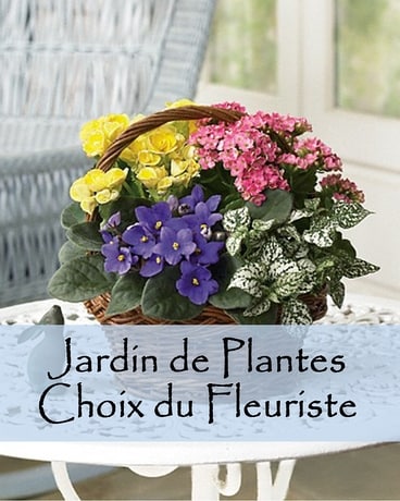 Jardin de Plantes Flower Arrangement