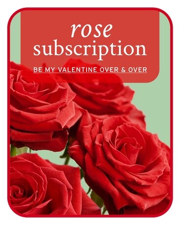 Rose Subscription - Be My Valentine Over and Over Flower Arrangement