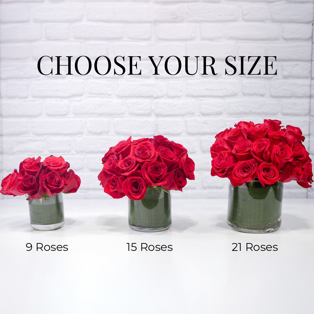9 Red Roses in Chicago IL - Ashland Addison Florist & Flower Delivery