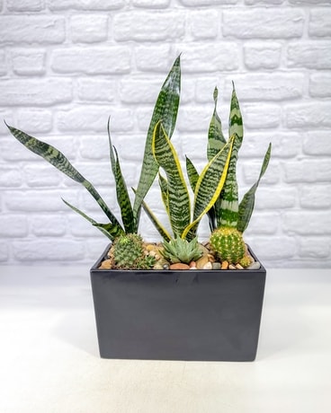 Ashland Addison Florist photo 5