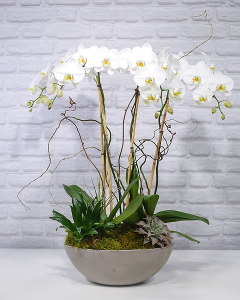 ferm living plant box round Ferm Living - Plant Box main image 0