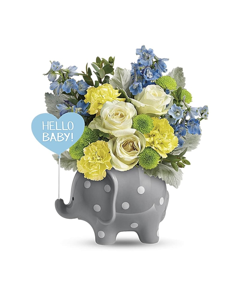 Hello Sweet Baby - Blue in Chicago IL - Ashland Addison Florist