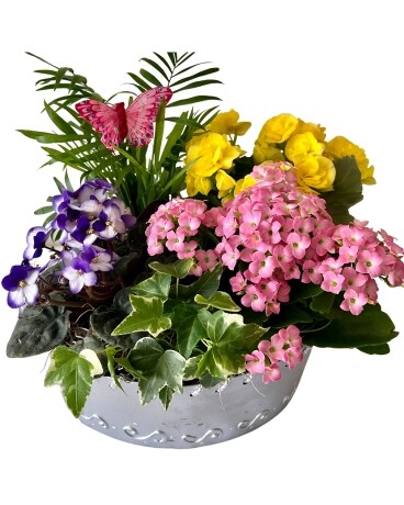 Blooming Garden Flower Arrangement
