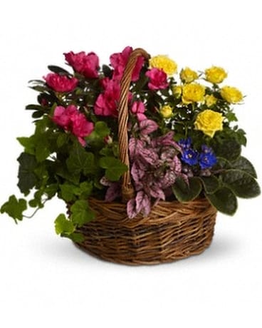 Blooming Garden Basket Flower Arrangement