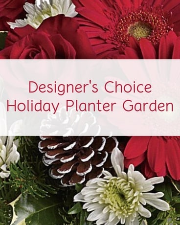 Designer's Choice Holiday Planter Garden Flower Arrangement