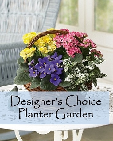 Designer’s Choice Planter Garden. Flower Arrangement