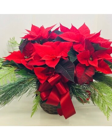 Decorated Red Poinsettia (Medium) Flower Arrangement