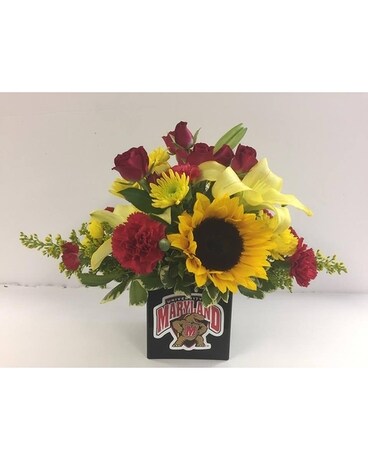 Testudo Pride Flower Arrangement