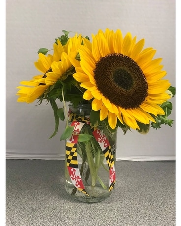 Sunflower Dreams Flower Arrangement