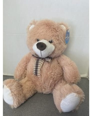 Medium Plush Bear Gifts