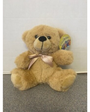 Small Plush Bear Gifts