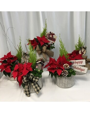 Indoor Festive Planter Flower Arrangement