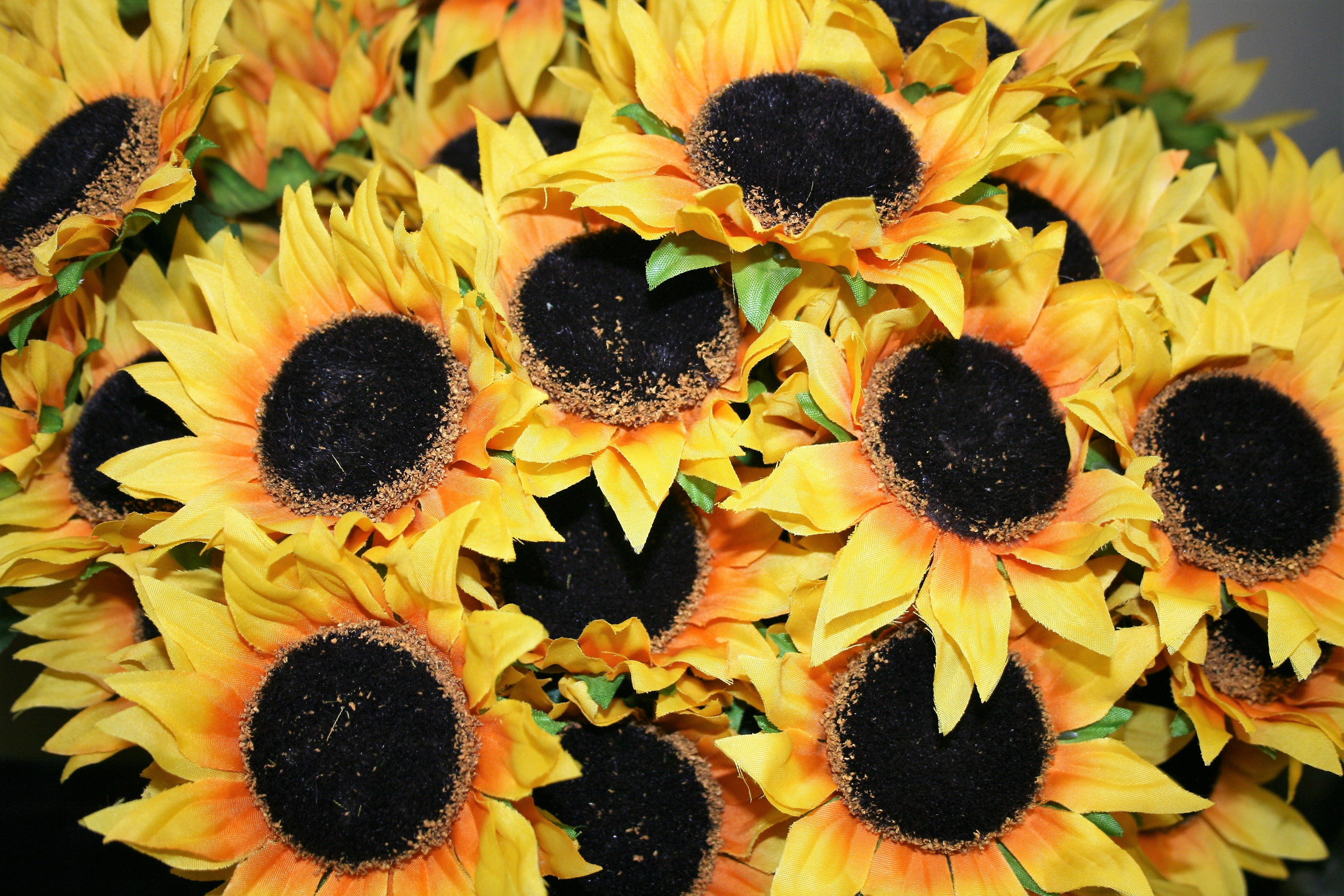 Flower Delivery to Erie by Allburn Florist