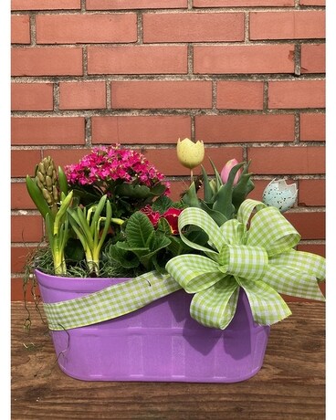 Bulb Garden Flower Arrangement