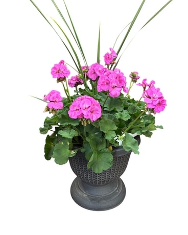 Mother's Day Flowers Delivery Erie PA - Allburn Florist