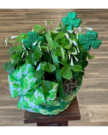 Shamrock Basket Flower Arrangement