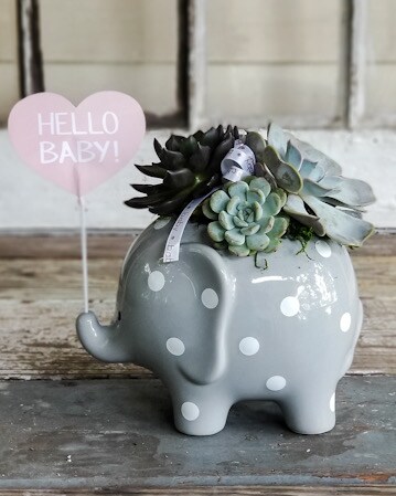 Bouncing Baby Succulent Garden-Pink Flower Arrangement