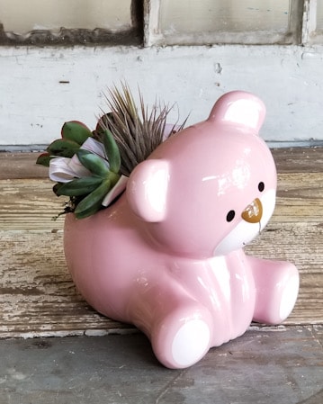Sweetest Succulent Bear- Pink Flower Arrangement