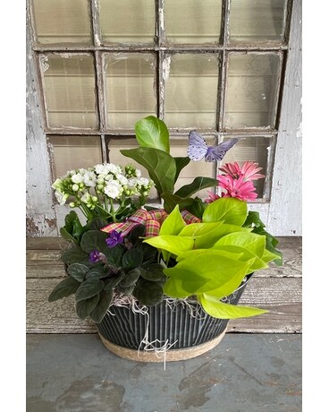 Casa’s Butterfly Garden Flower Arrangement
