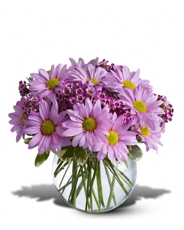 Teleflora Delightfully Daisy Flower Arrangement