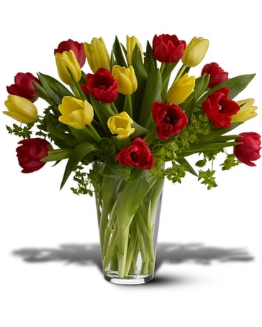 Teleflora Dutch Delight Flower Arrangement