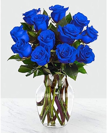 Brilliant Blue Roses