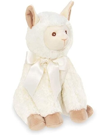 Alma the Lama