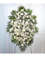 Premium size,  inches height and  inches wide.