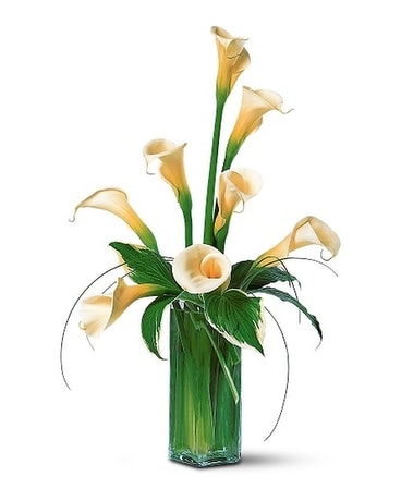White Callas Flower Arrangement