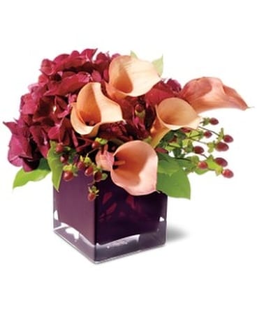 Teleflora's Calla Classique Flower Arrangement