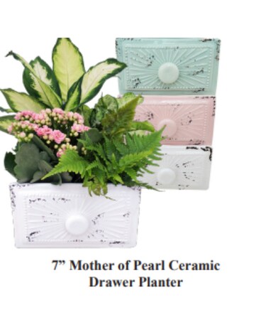 7” Mother of Pearl Ceramic Planter Dish Garden Plant