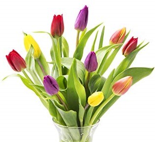 Tulips in a Vase Flower Arrangement