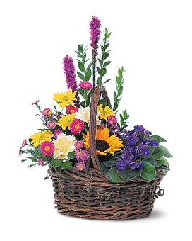 Basket of Glory Flower Arrangement