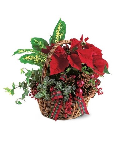 Holiday Planter Basket Basket Arrangement
