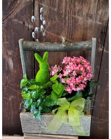 Hippity Hop Bunny Planter Plant