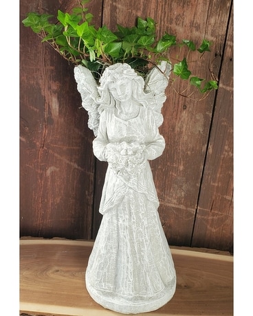 Angel Planter Plant
