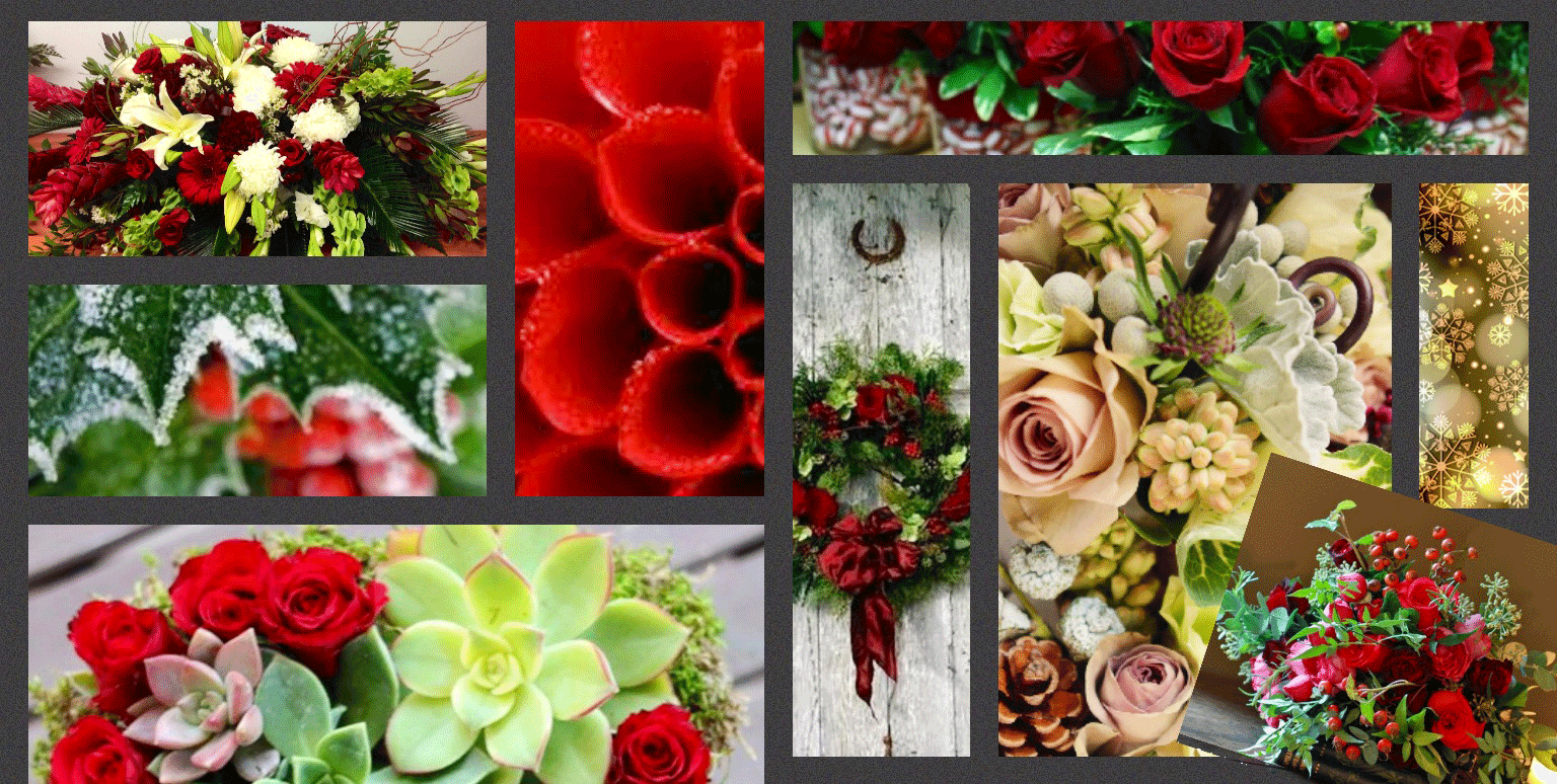 Ammon Florist Flower Delivery by Petal Passion