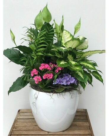 Radiant Indoor Planter