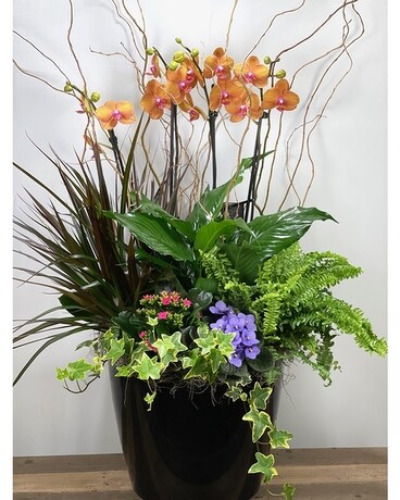 Ultimate Mixed Planter with Orchids Plant