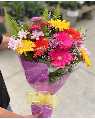 Graduation Gerberas and Daisy Cut Flower Bouquet Bouquet