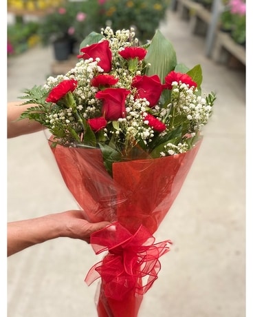 3 Red Rose & Carnation Presentation Bouquet Bouquet